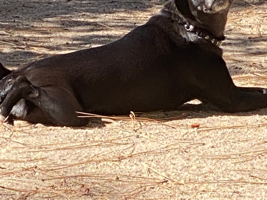Living Free Animal Sanctuary-Mountain Center必去景点