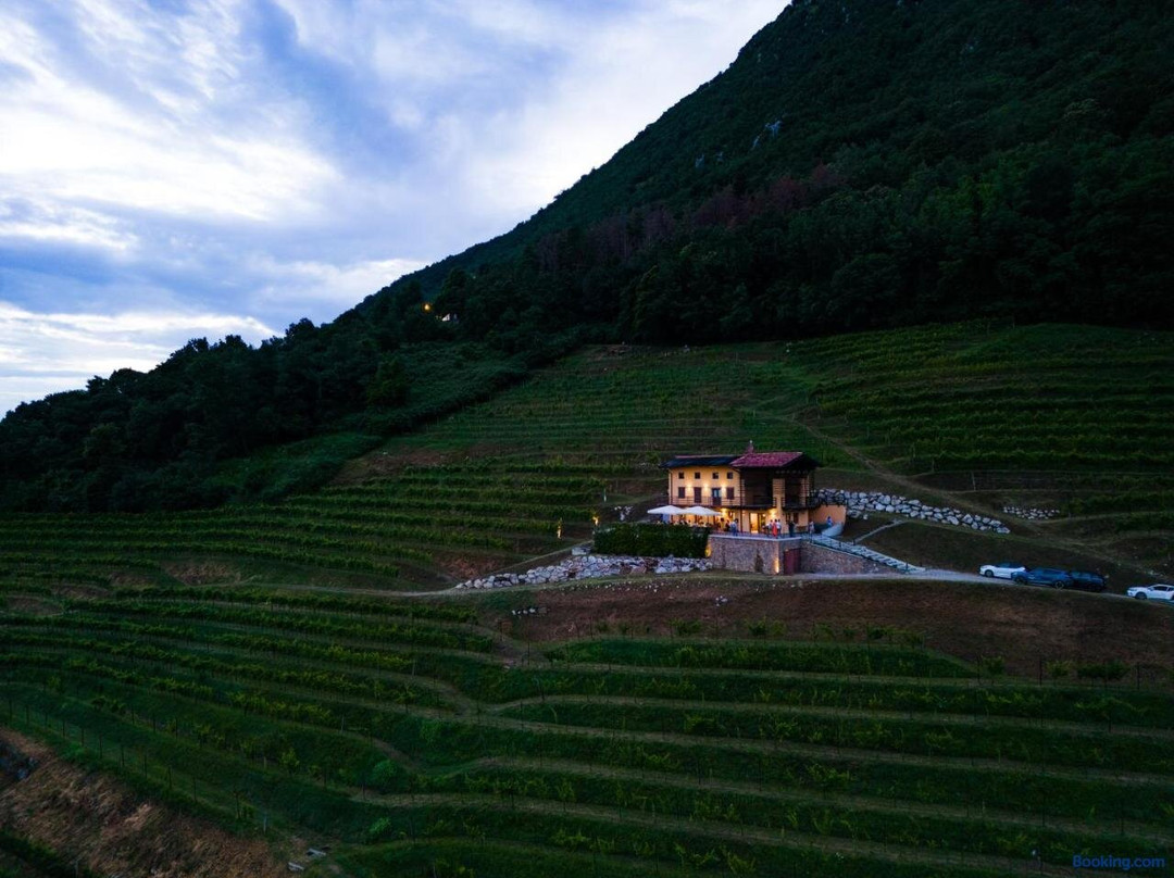 Dario Coos Srl - Azienda Vinicola