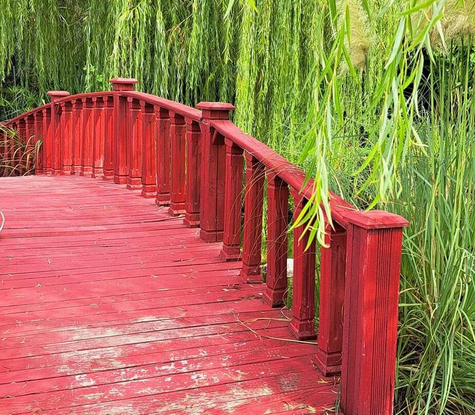 Zen Gardens景点图片