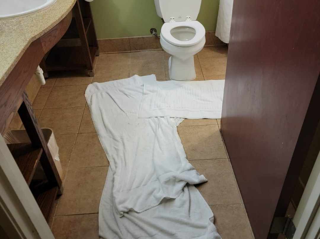 Comfort Inn New Orleans Airport South主图