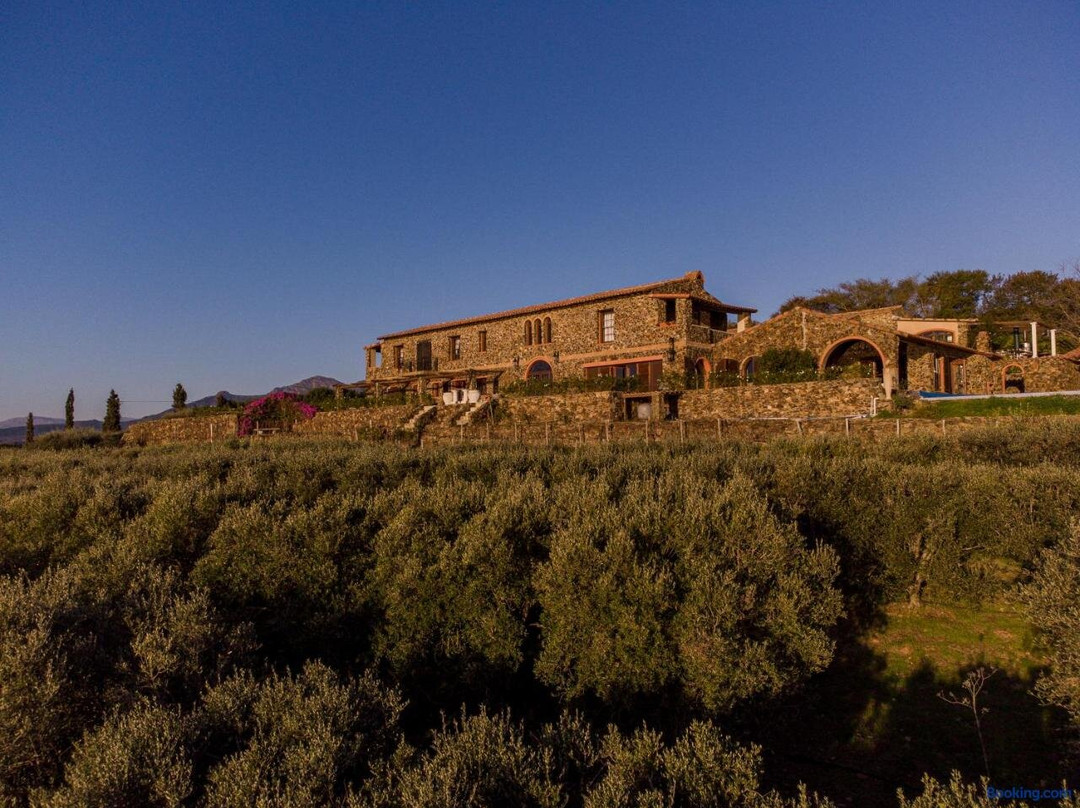 Koelenhof酒店住宿-Casa Mori House