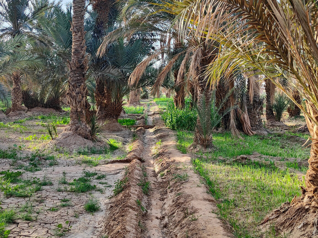 Morocco Today Travel-卡萨布兰卡必去景点