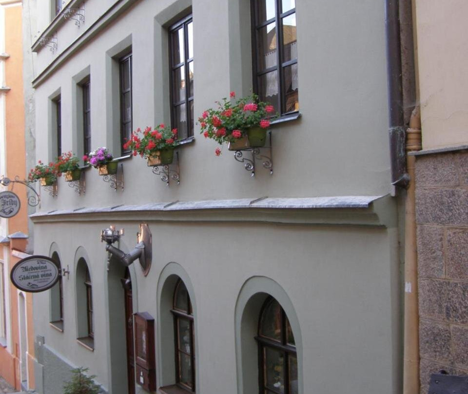 Horni Slavkov酒店住宿-Penzion U Fridy