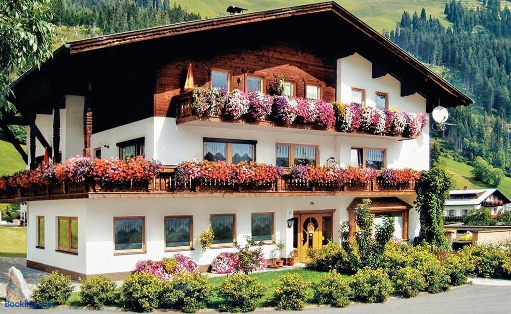 Schwarzer Adler