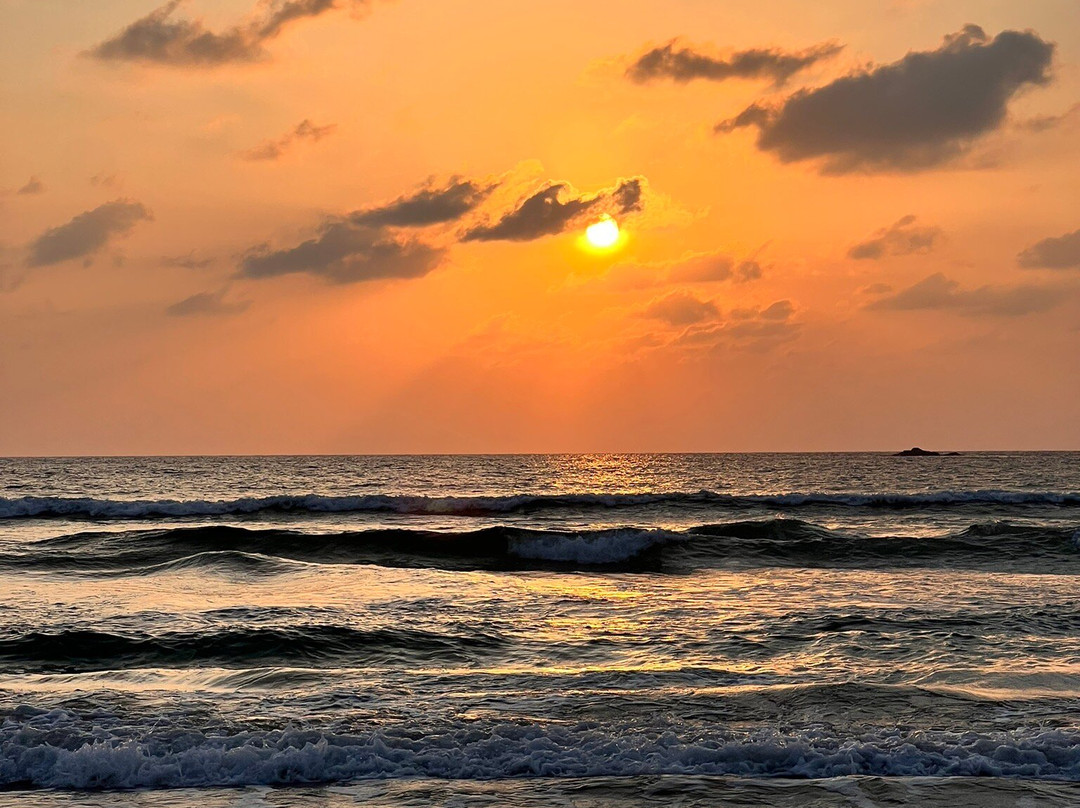 红树林渡假酒店主图