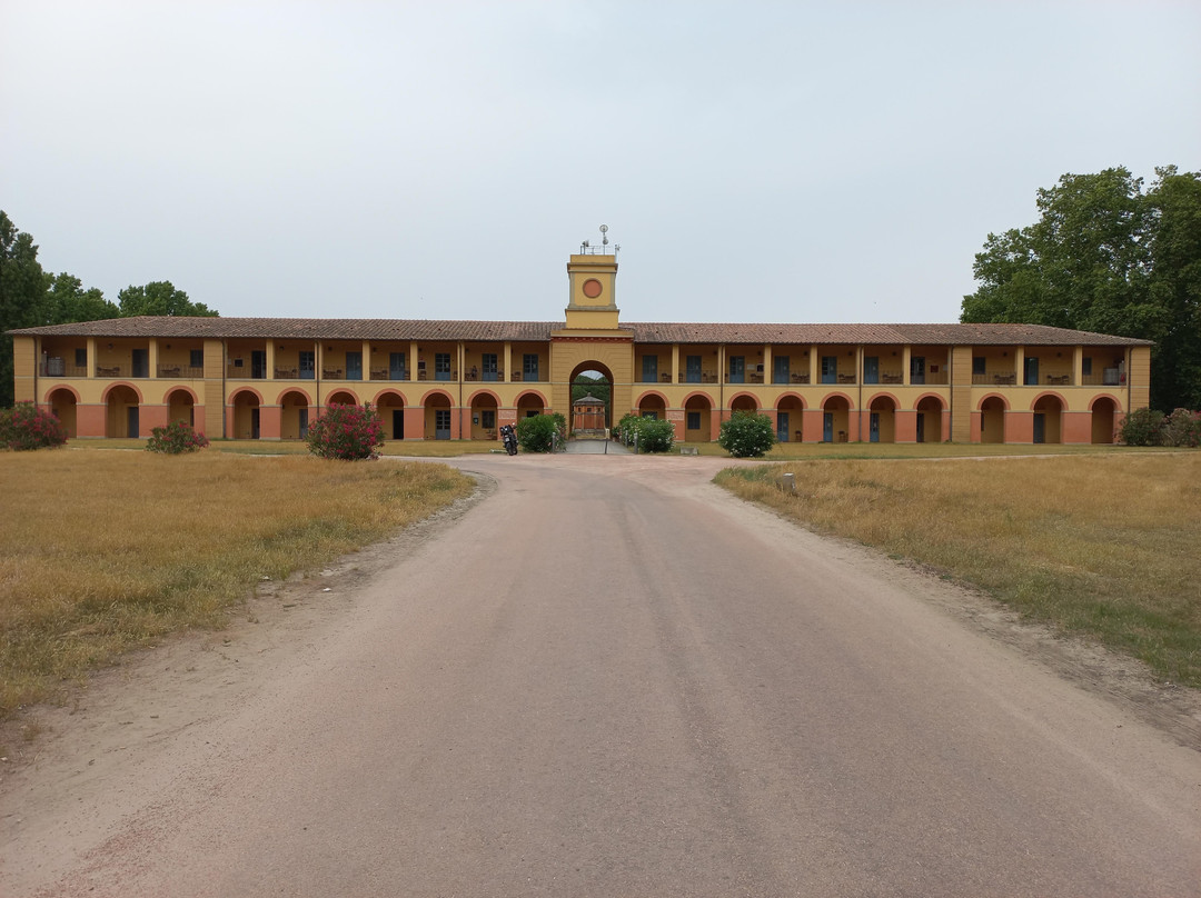 Parco Regionale Migliarino San Rossore Massaciuccoli-比萨必去景点