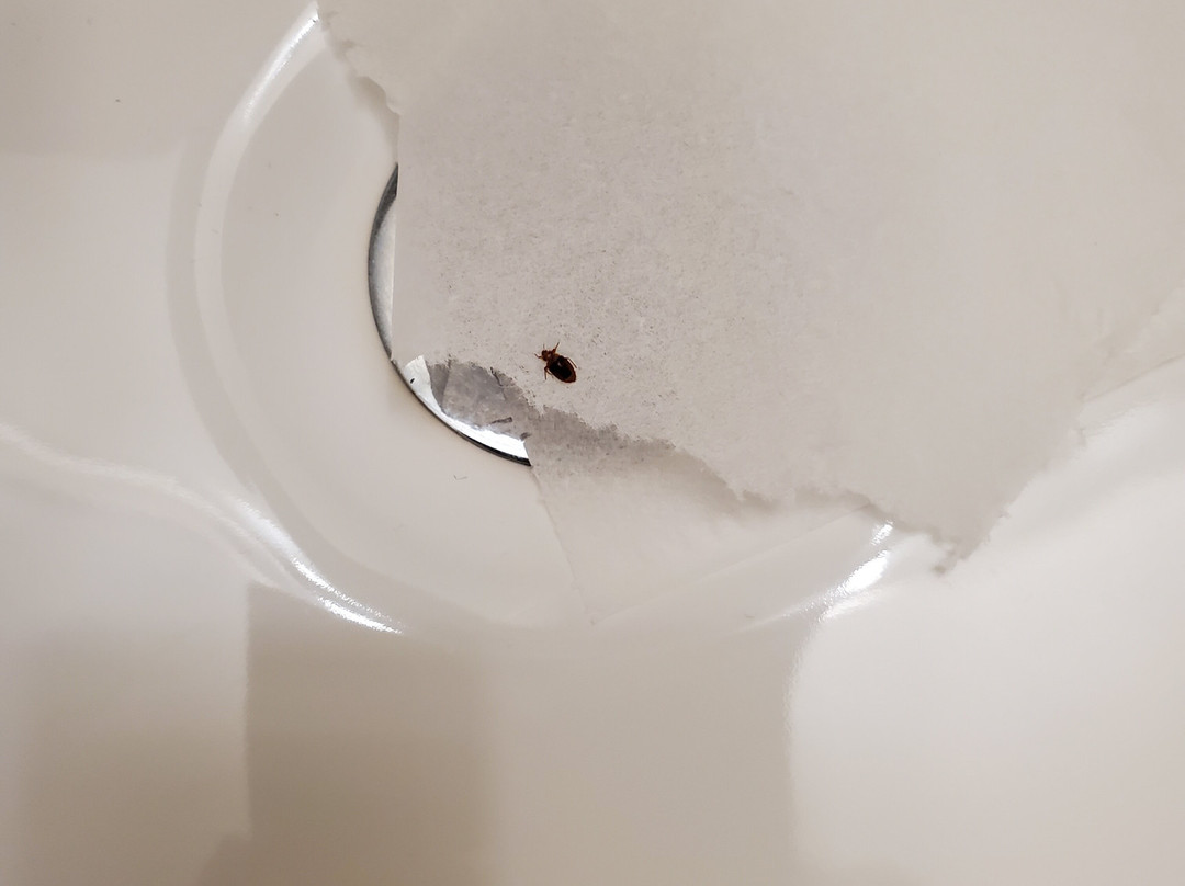 落基山烛木套房酒店主图