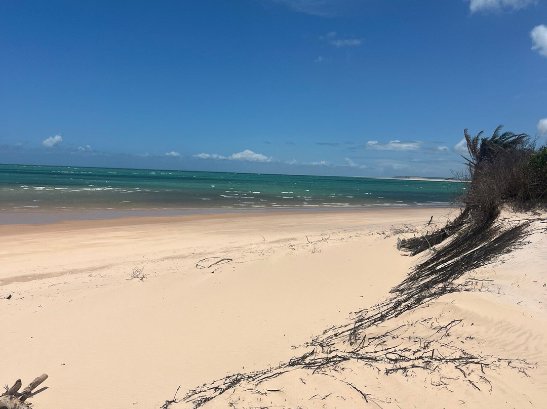 Sailaway Dhow Safaris-Vilanculos必去景点