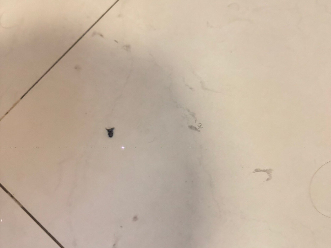 Sleep Inn Tuxtla Gutierrez主图