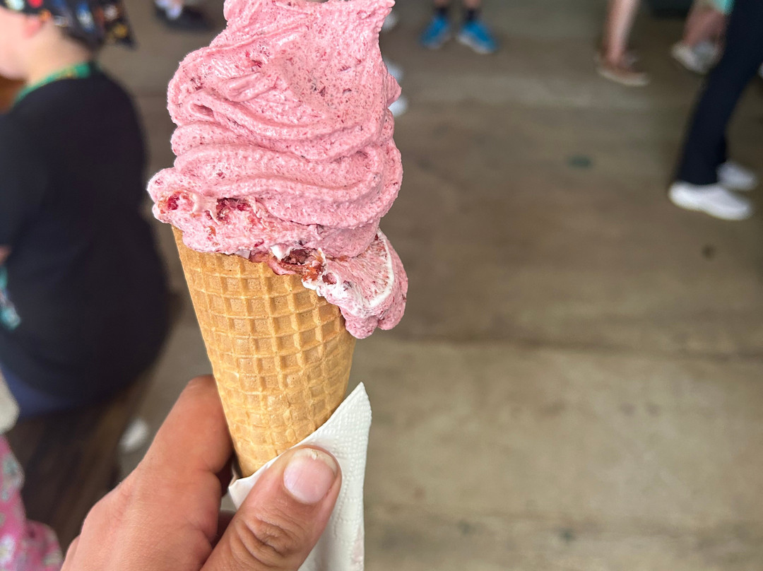 Ballinaclash Fruit & Wine-Young必去景点