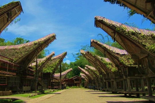 Konstan tinus-Tana Toraja必去景点