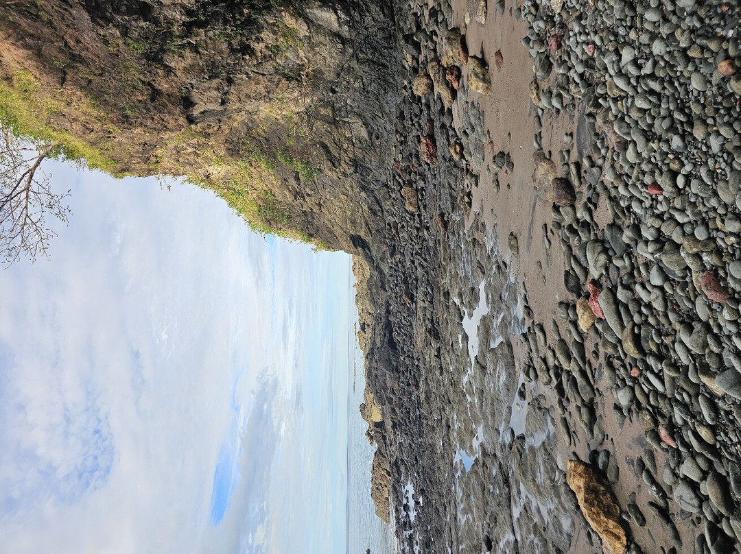 Playa Flamingo景点图片