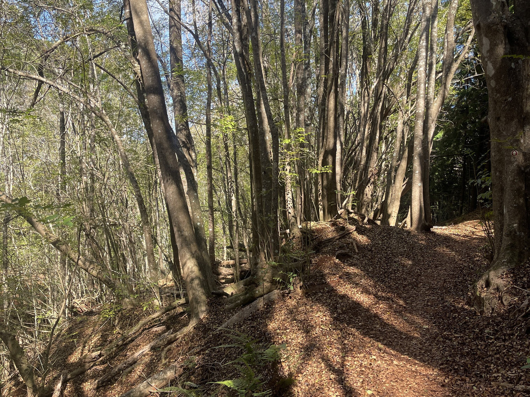 Kahakapao Loop Trail-马卡瓦必去景点