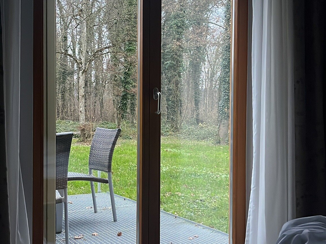 Dorint Thermenhotel Freiburg主图