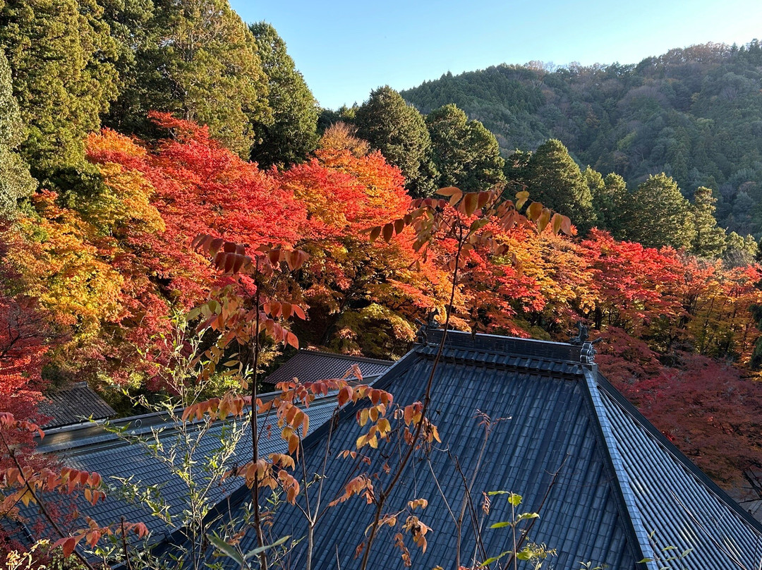 Koran Valley-丰田市必去景点