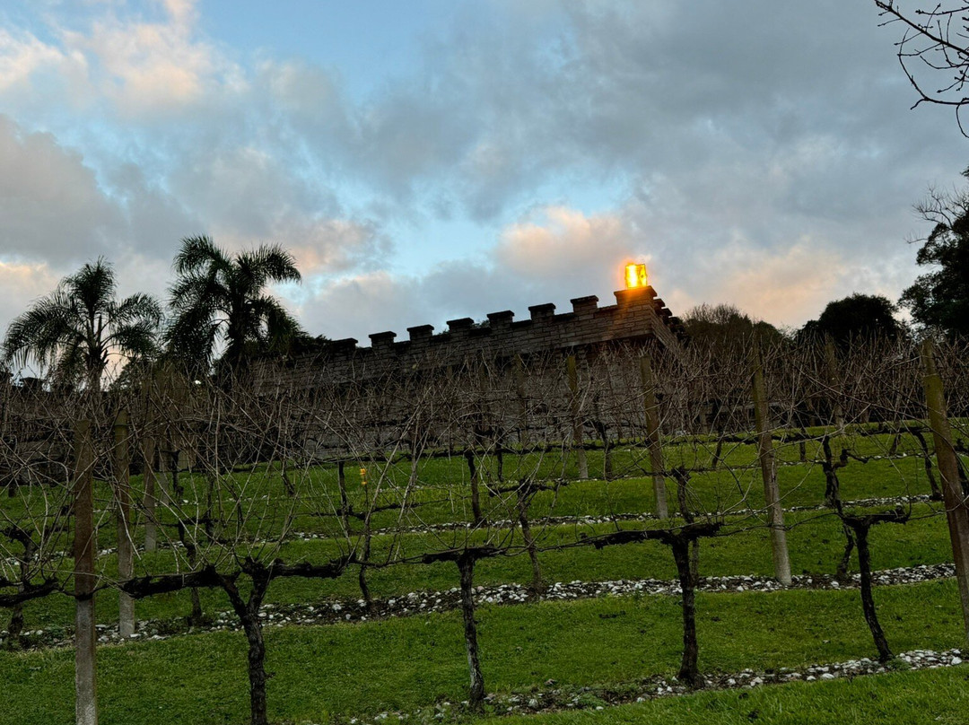 Vinícola Cave De Pedra-本图贡萨尔维斯必去景点