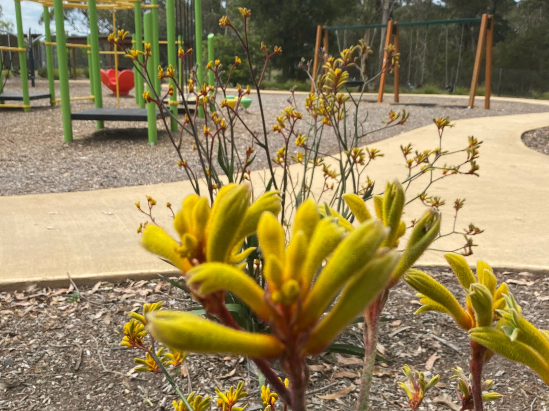 Bayles Playground-Koo-Wee-Rup必去景点