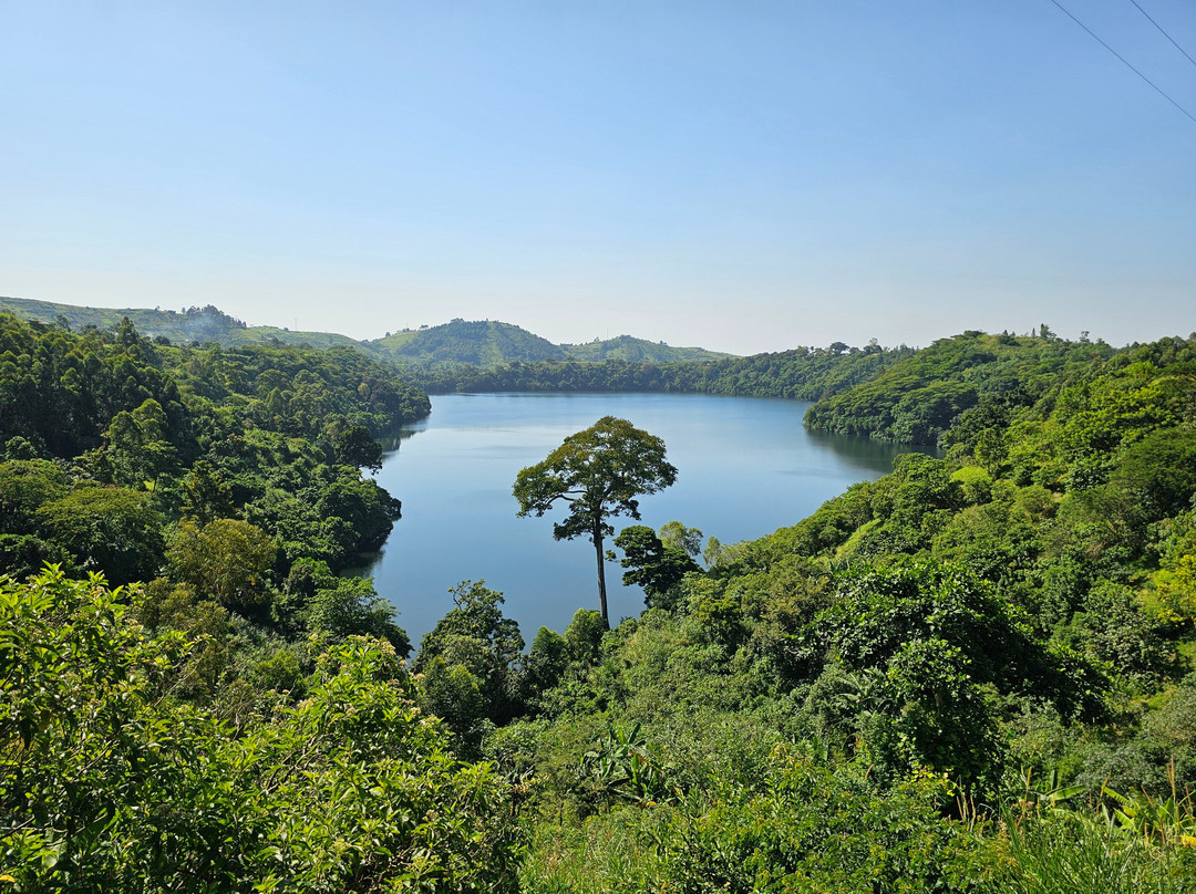 Nature and Wildlife Tours景点图片