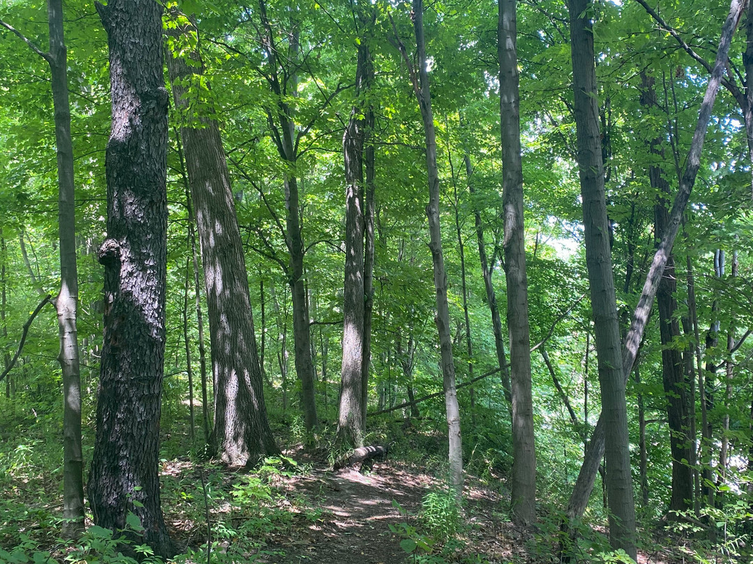 Nelson-Kennedy Ledges State Park-Nelson必去景点