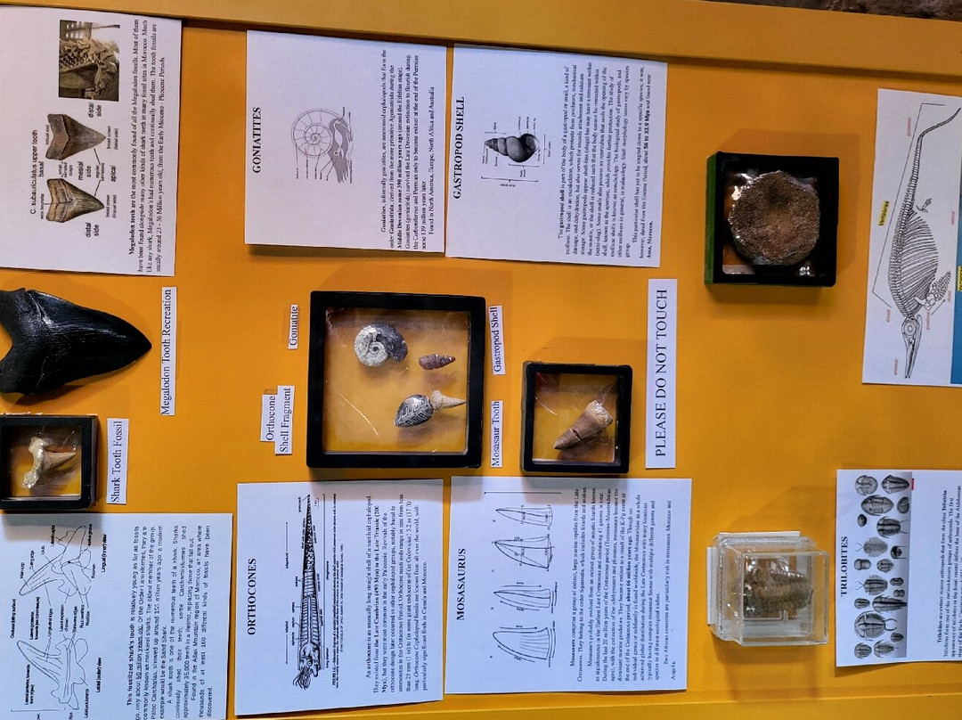 Moab Giants-莫阿布必去景点