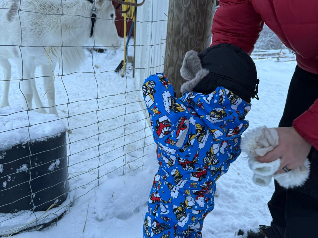 Reindeer Cottage景点图片