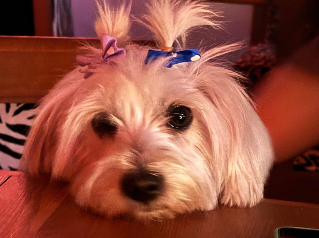 Back To The 80's Marrakech