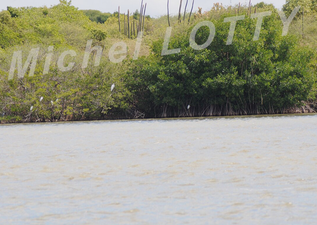 Etang des Salines-Sainte-Anne必去景点