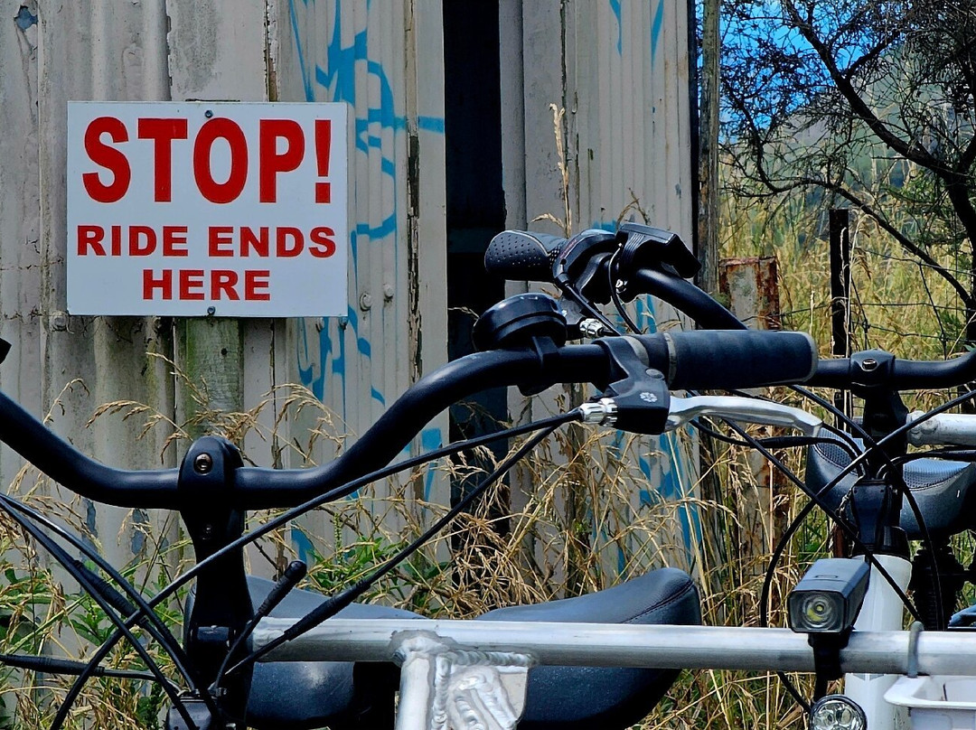 Gisborne Railbike Adventure景点图片