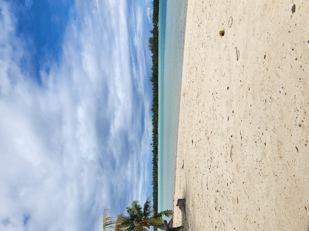 Pension Teheimana主图