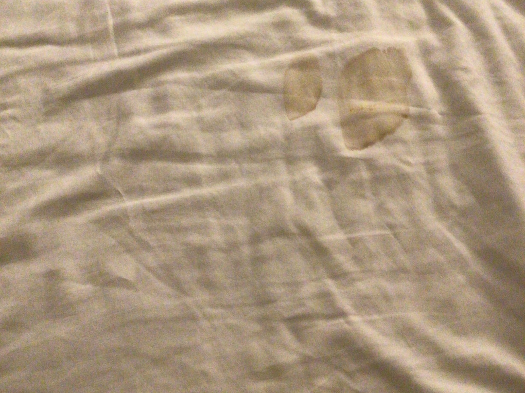 Stonecroft Inn主图