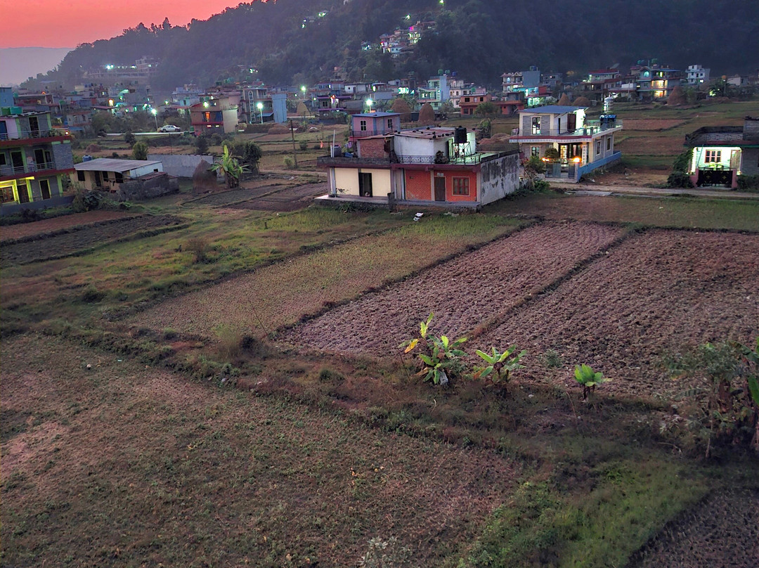 Hotel Young's Stupa主图