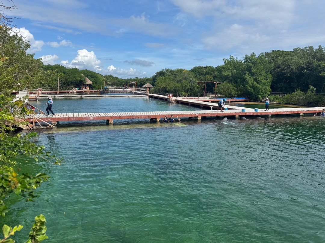 Delphinus Xel-Há-图伦必去景点