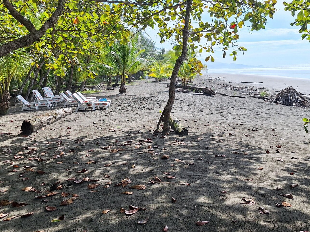 Dreamy Contentment主图