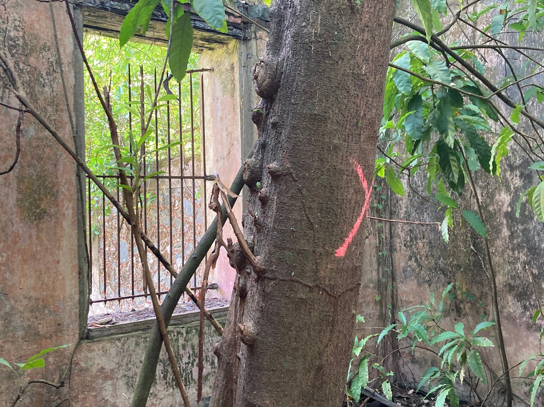 Les Iles du Salut-Kourou必去景点