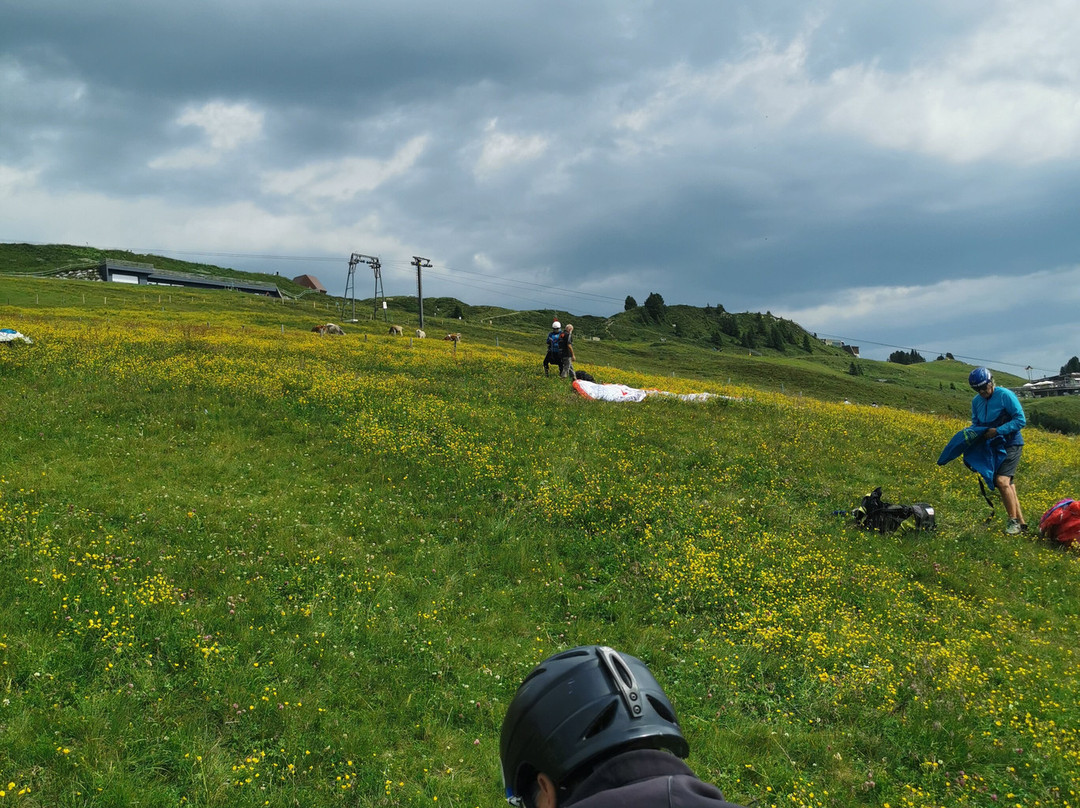 Fly Tux - Paragleiter Tandemflüge-图克斯必去景点