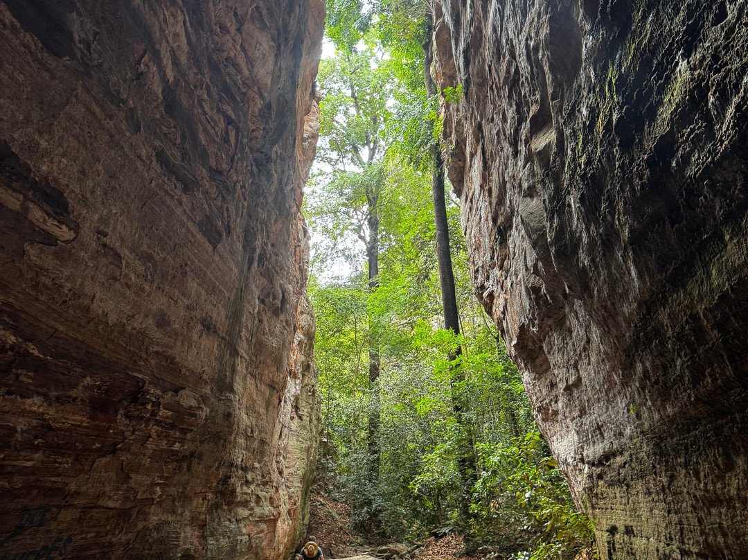 National Park of Serra das Confusoes景点图片
