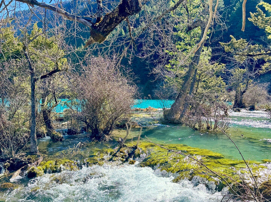 Hello China Trip-成都必去景点