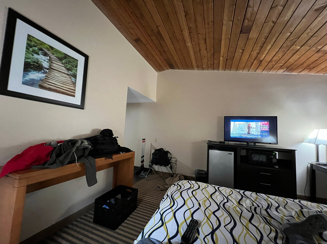 The Putney Inn主图