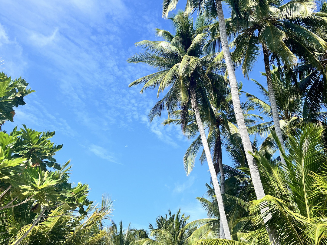 Island Life Maldives Retreat & Spa主图