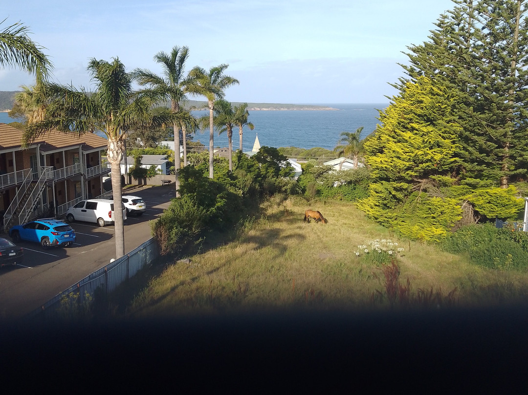 Twofold Bay Motor Inn主图