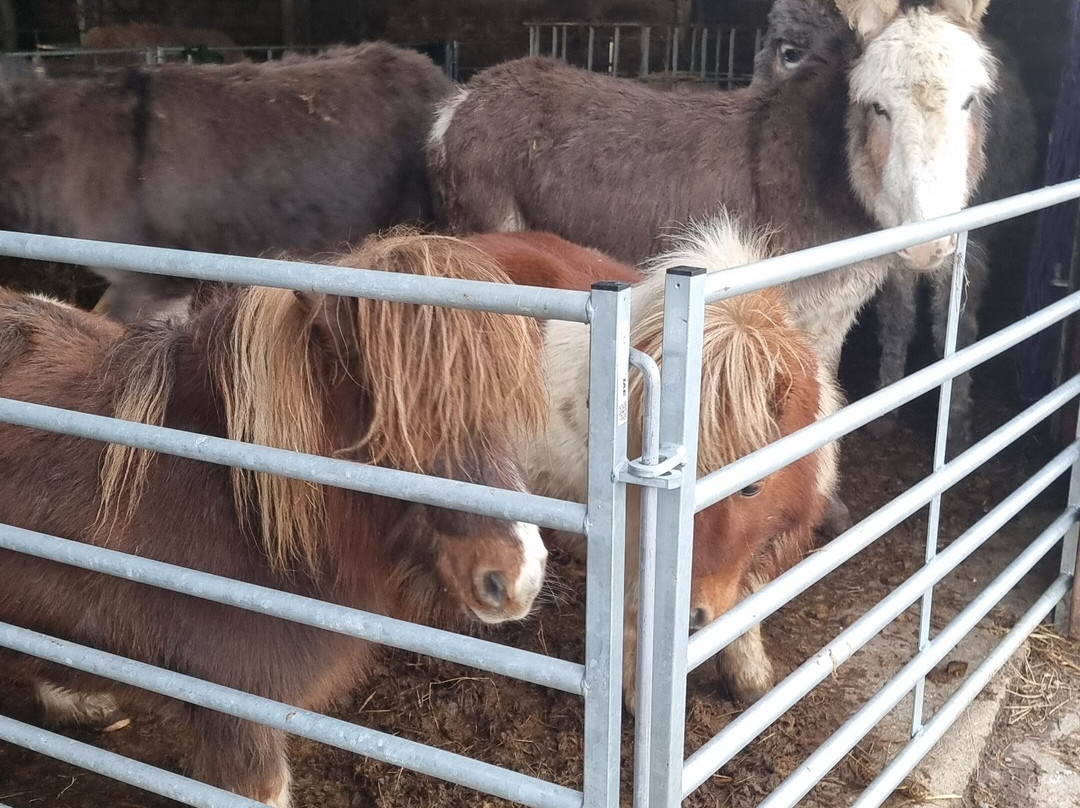 Geise Farm