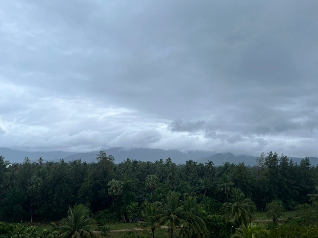 卡农金海滩酒店主图