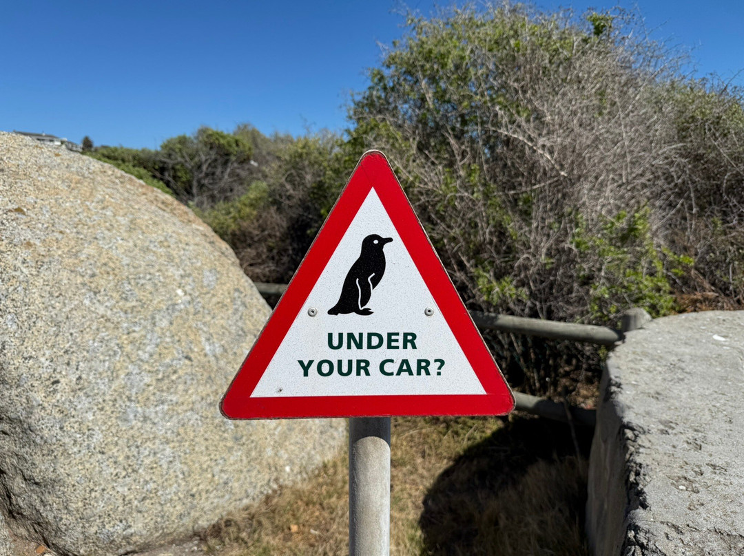 Airport Hopper Tours & Transfers-Rondebosch必去景点