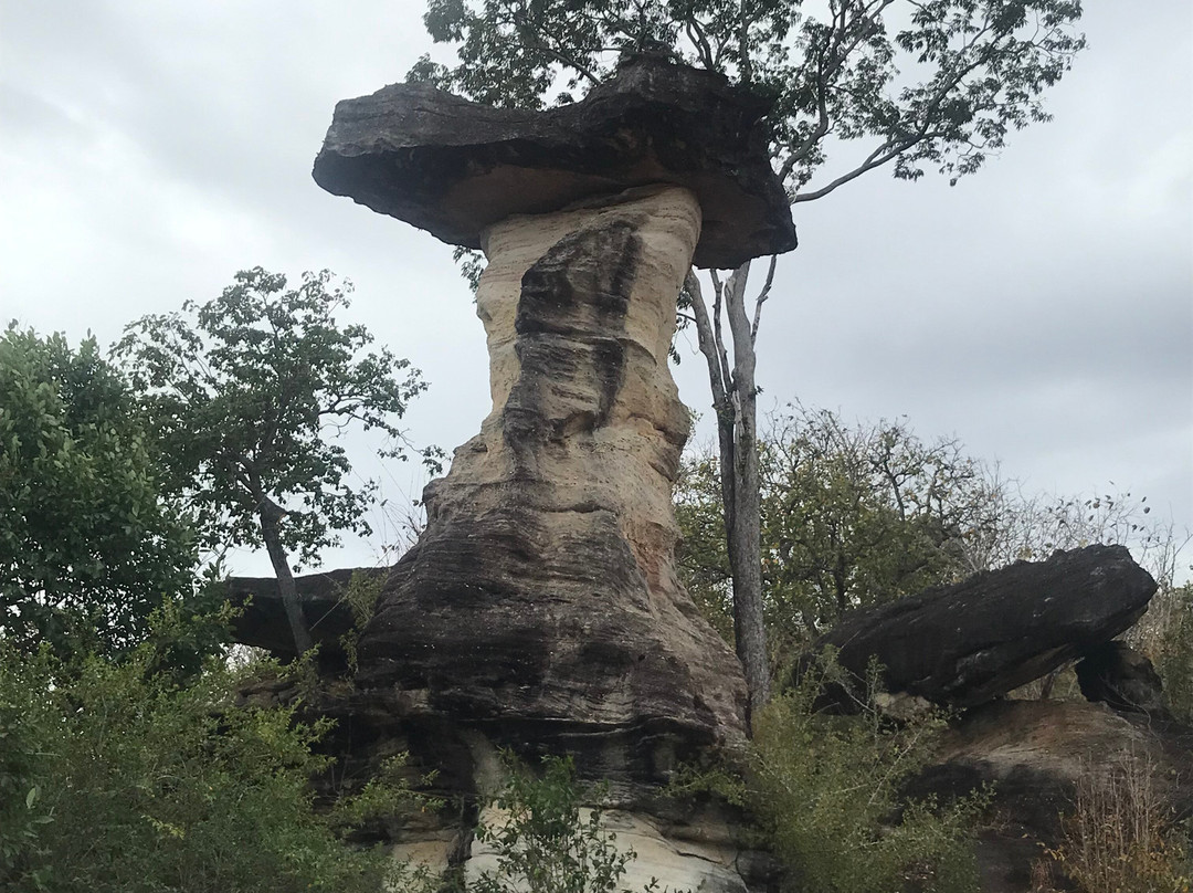 Pha Taem National Park景点图片