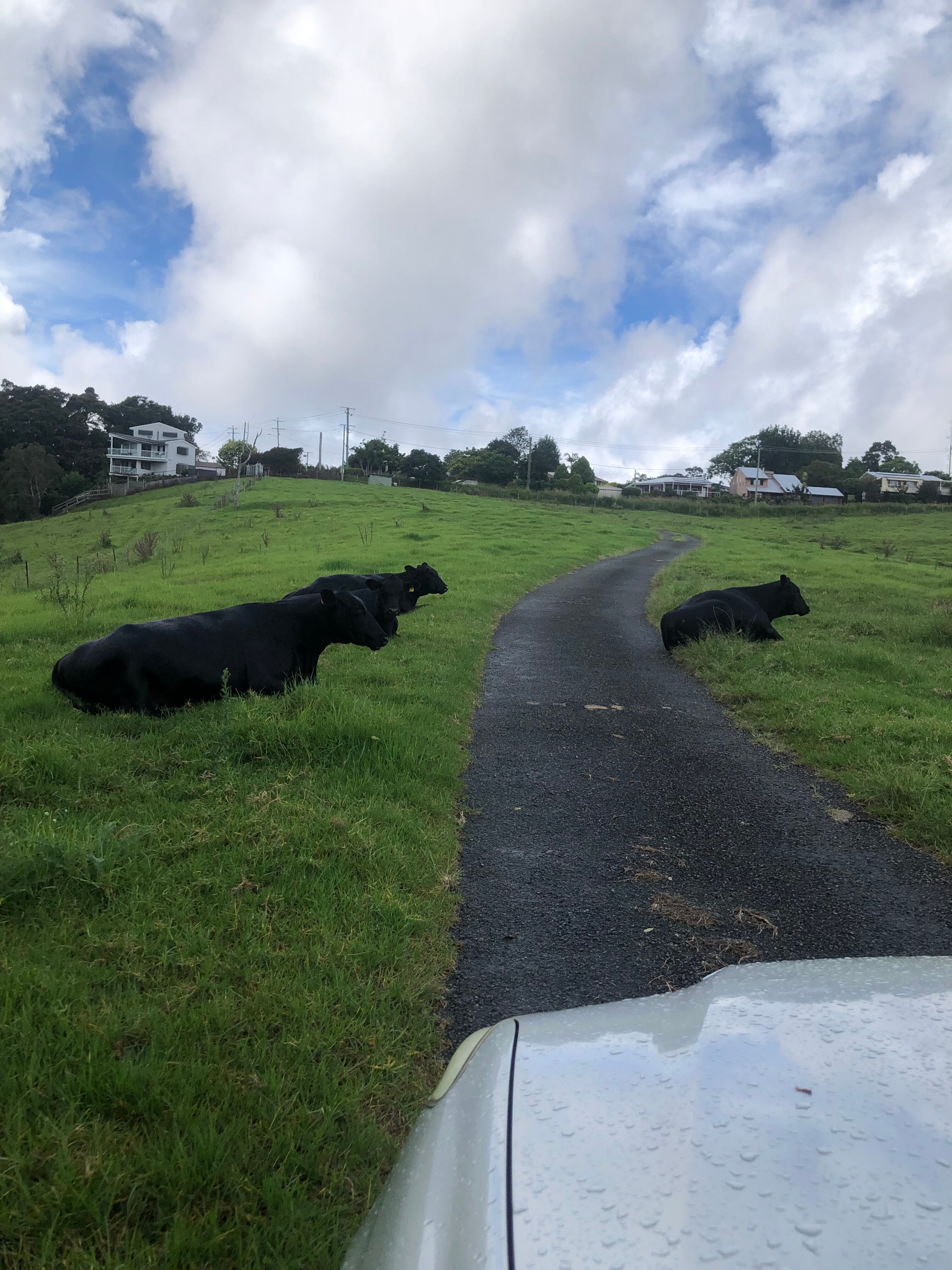 Seaview Farm Retreat-酒店景观