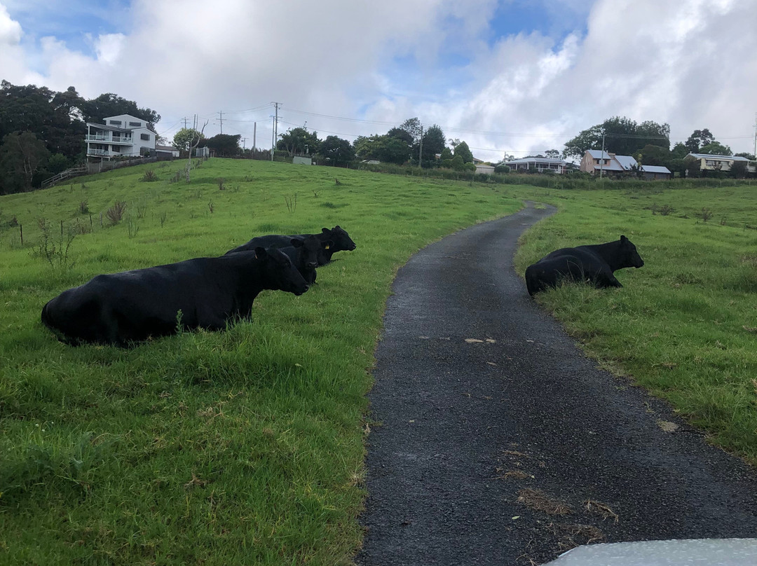 Seaview Farm Retreat主图