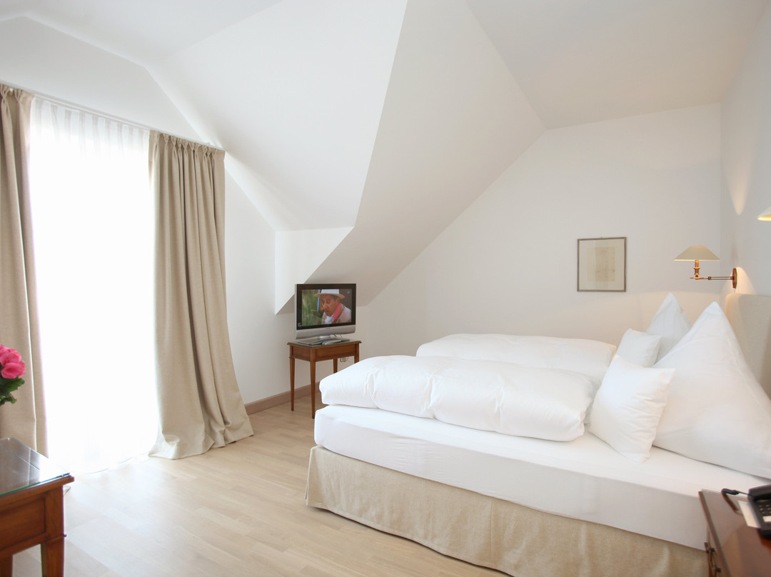Hotel Krone主图