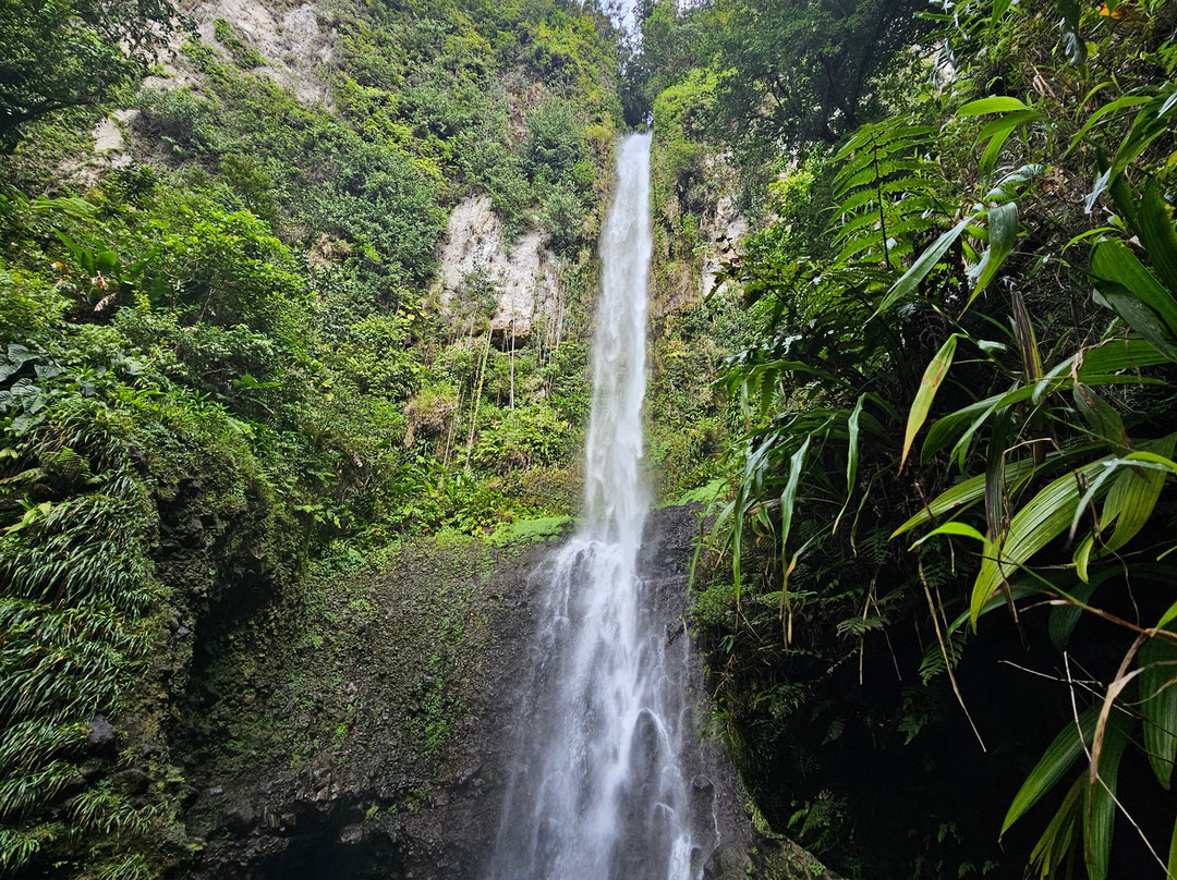 Middleham Falls-罗索必去景点
