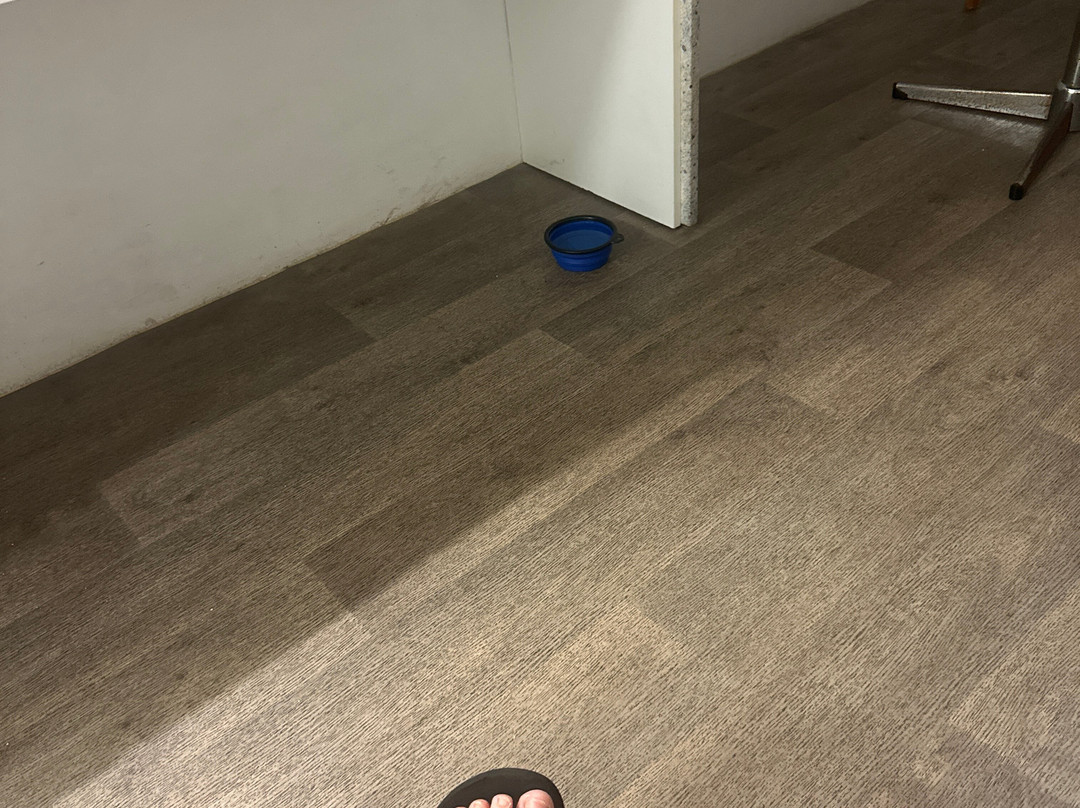 最佳西方斑马汽车旅馆主图