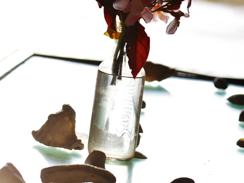 Pangani Cliffs Lodge主图